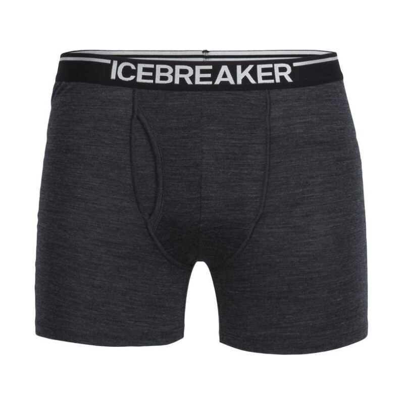 Icebreaker Mens Anatomica Boxers w Fly