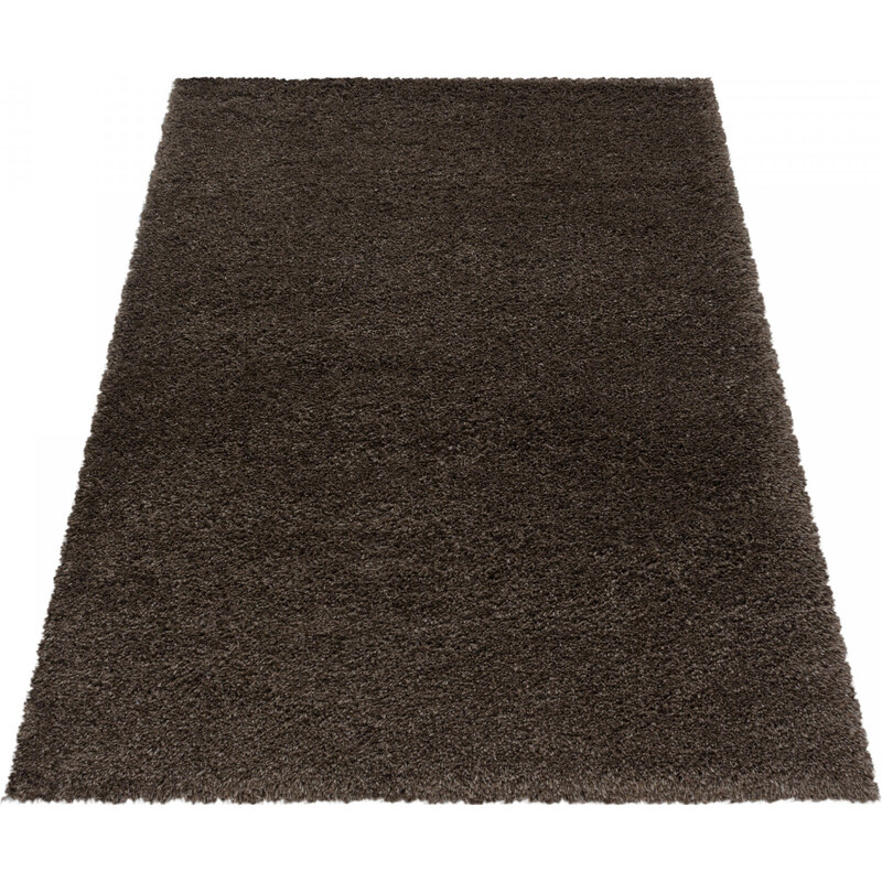 Ayyildiz koberce AKCE: 280x370 cm Kusový koberec Fluffy Shaggy 3500 brown - 280x370 cm