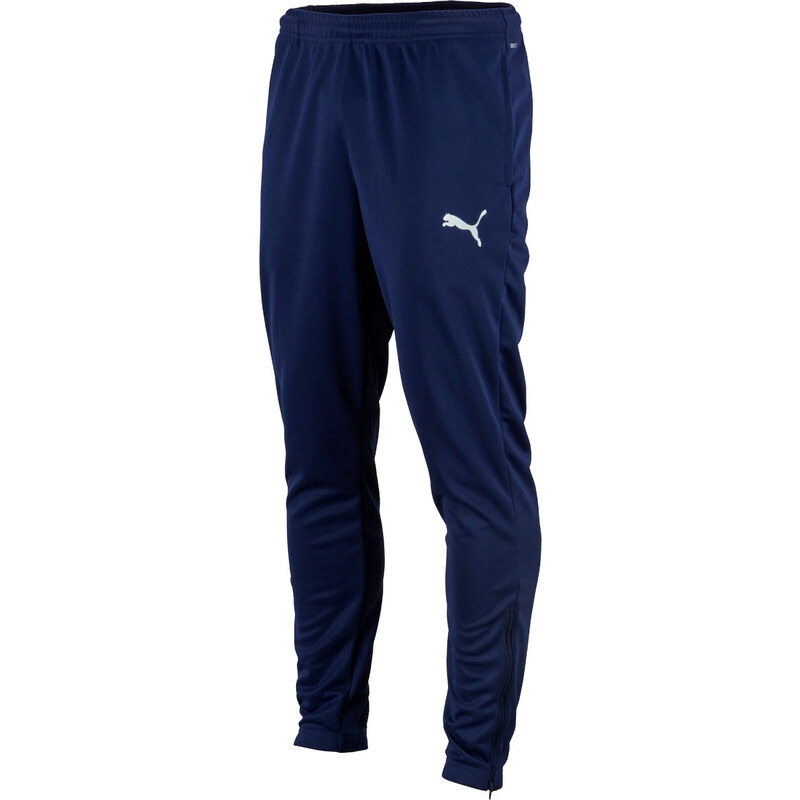 Kahoty Puma teamRISE Poy Training Pants 65739006