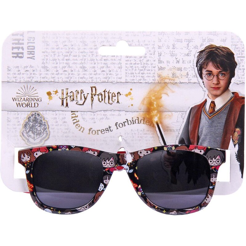 SUNGLASSES HARRY POTTER