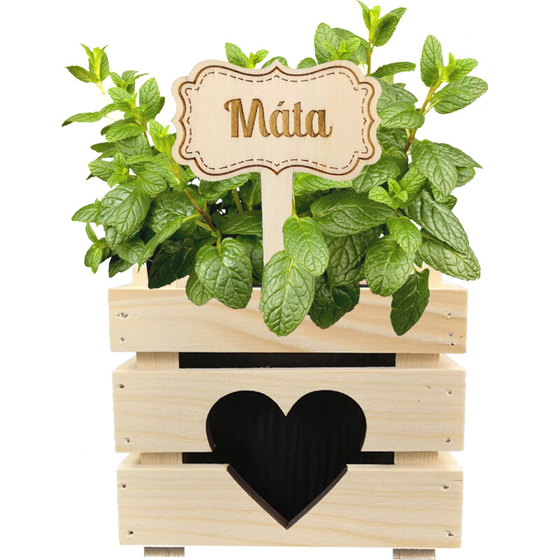 AMADEA Dřevěný zápich - cedulka na bylinky Máta, výška 20 cm, český výrobek