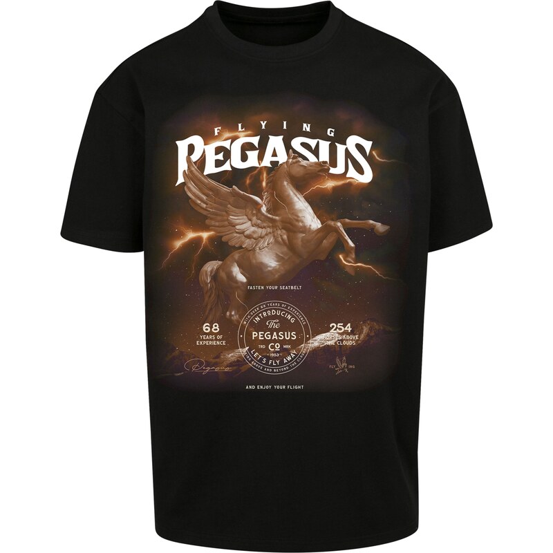 Mister Tee Tričko Pegasus světlemodrá / pueblo / mokka / bílá