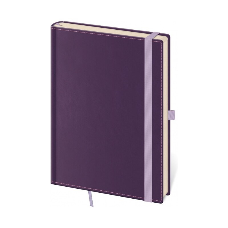 Helma 365, s.r.o. Notes - Zápisník Double Violet - linkovaný L fialová 2024 BB424-6-24