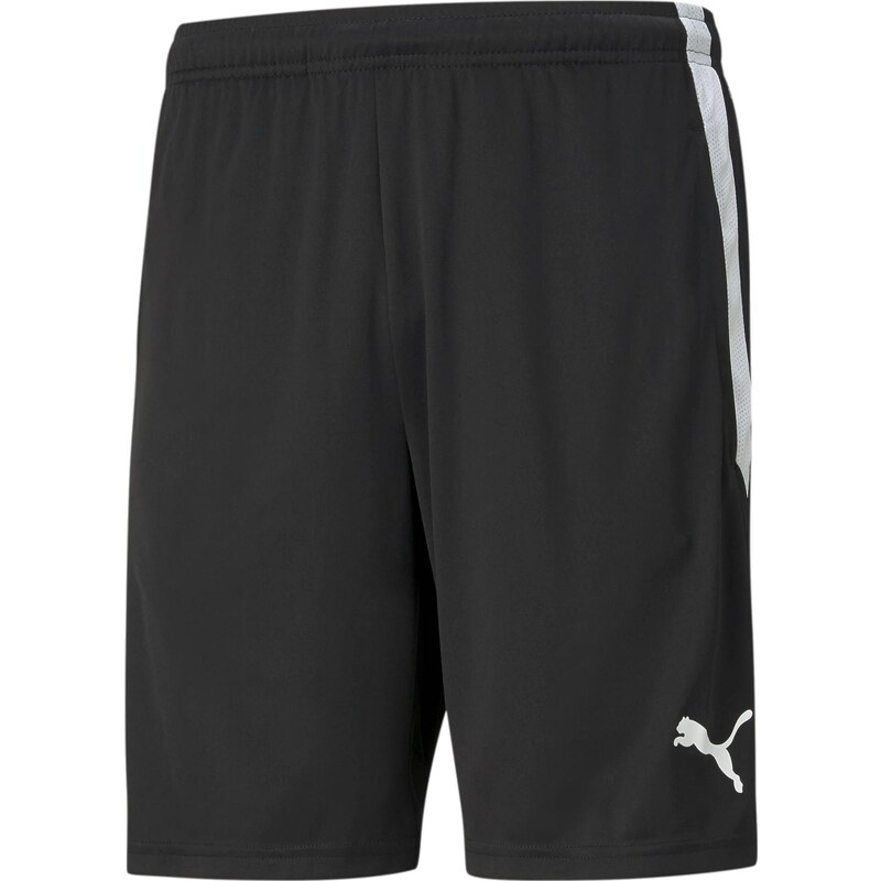 Šortky Puma teamLIGA Training Shorts 65724903