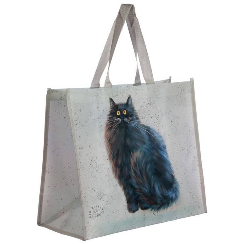 Nákupní taška s okatou kočkou - design Kim Haskings