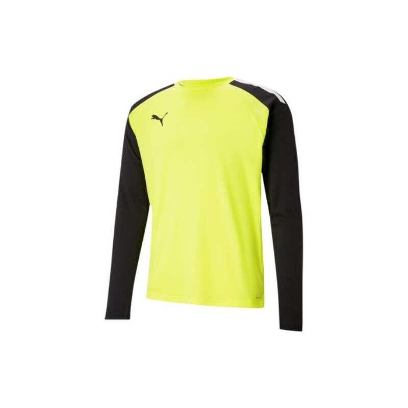 Dres s dlouhým rukávem Puma teamPACER GK LS Jersey Jr 70493942