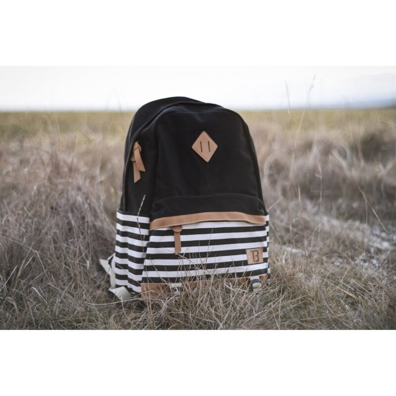 TopBags Canvas Batoh Canvas TopBags Stripe Černý 21 l