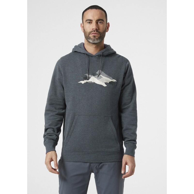 Helly Hansen F2F Organic Cotton Hoodie SLATE