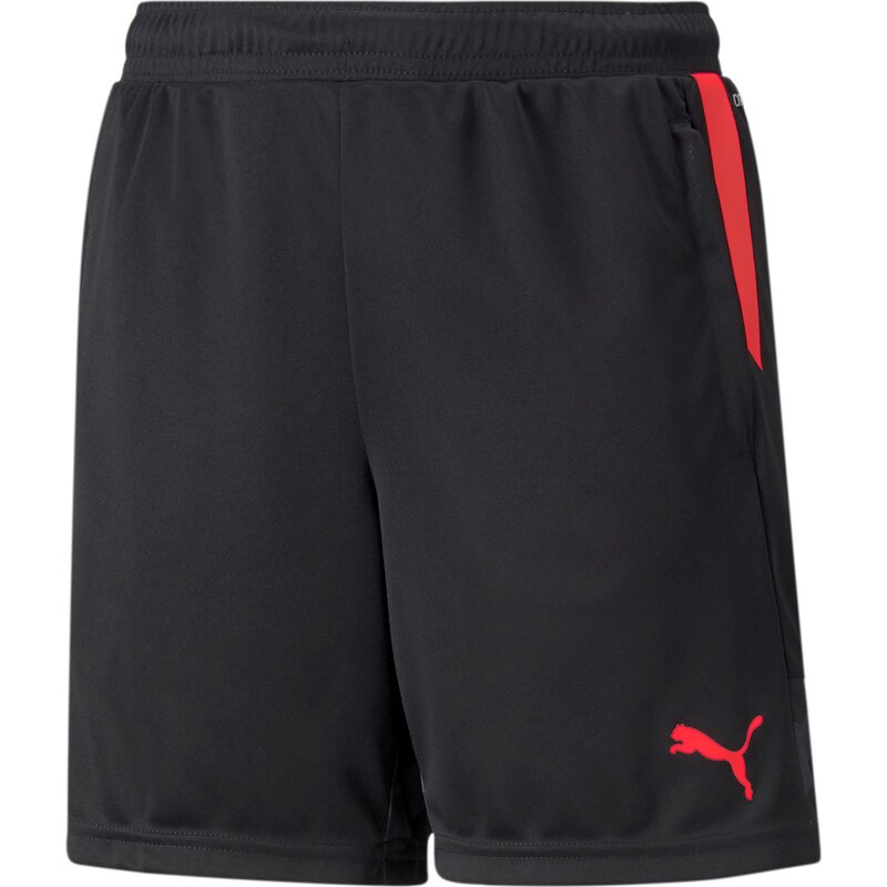 PUMA Sportovní kalhoty Individualcup červená / černá
