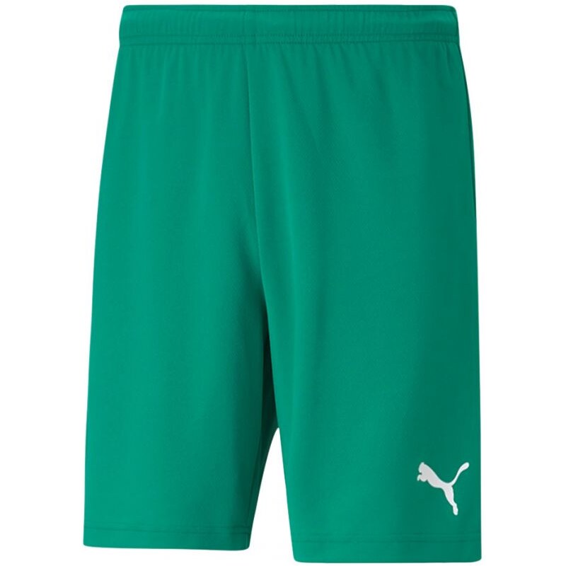 Pánské kraťasy teamRISE Short M 704942 05 - Puma