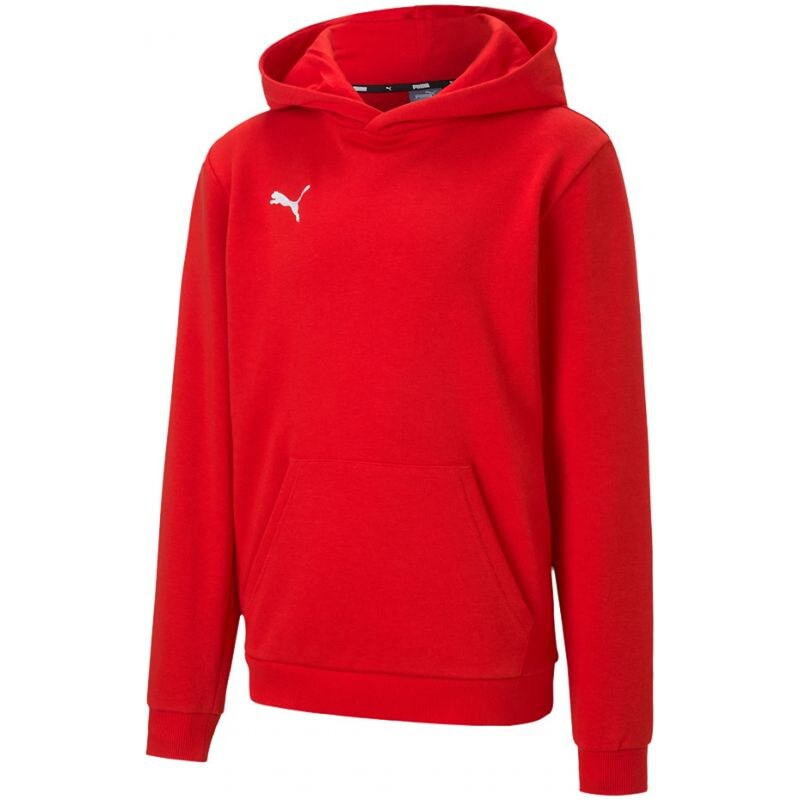 Dětská mikina TeamGOAL 23 Casuals Jr 656711 01 - Puma