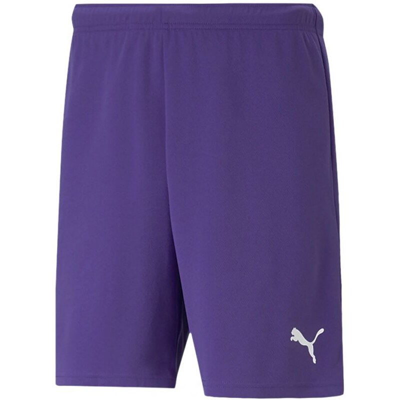 Puma teamRise Short Prist M 704942 10