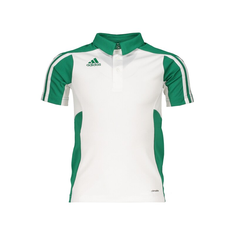 ADIDAS PERFORMANCE Funkční tričko zelená / bílá