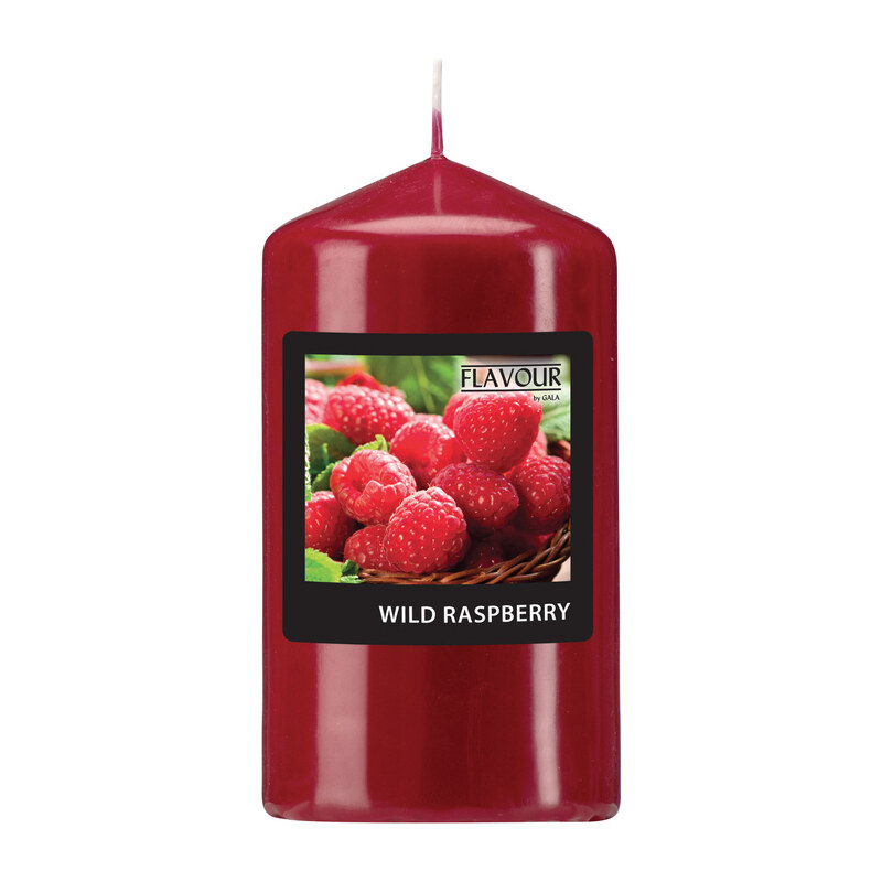 Gala Vonná svíčka válec Wild Raspberry 60 / 110