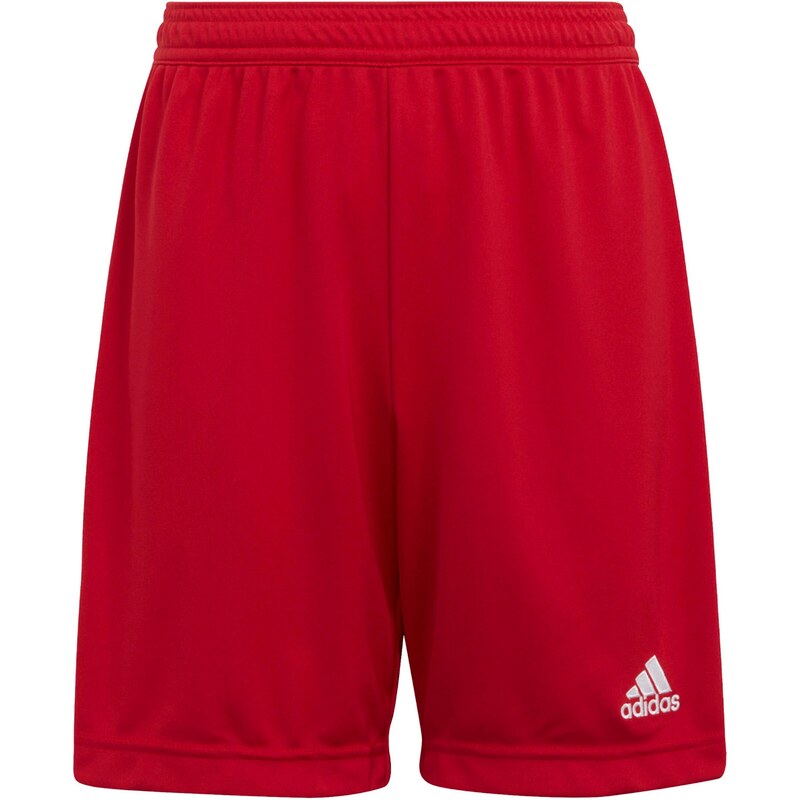 ADIDAS PERFORMANCE Sportovní kalhoty Entrada22 ohnivá červená /