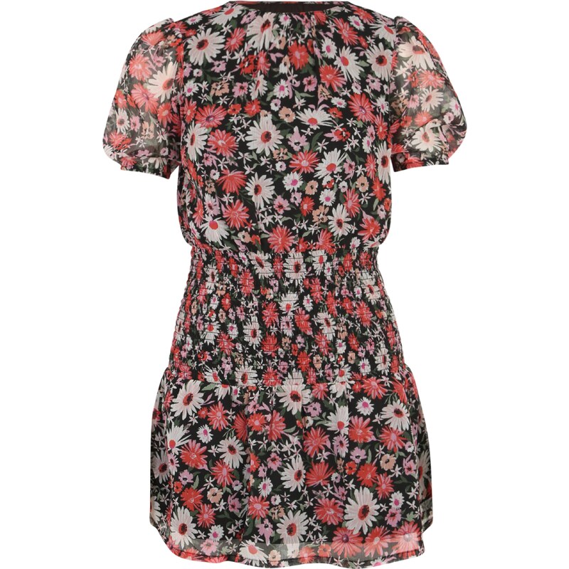 Dorothy Perkins Petite Šaty Daisy mix barev / korálová