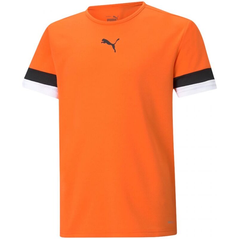 Puma teamRise Jersey Jr 704938 08