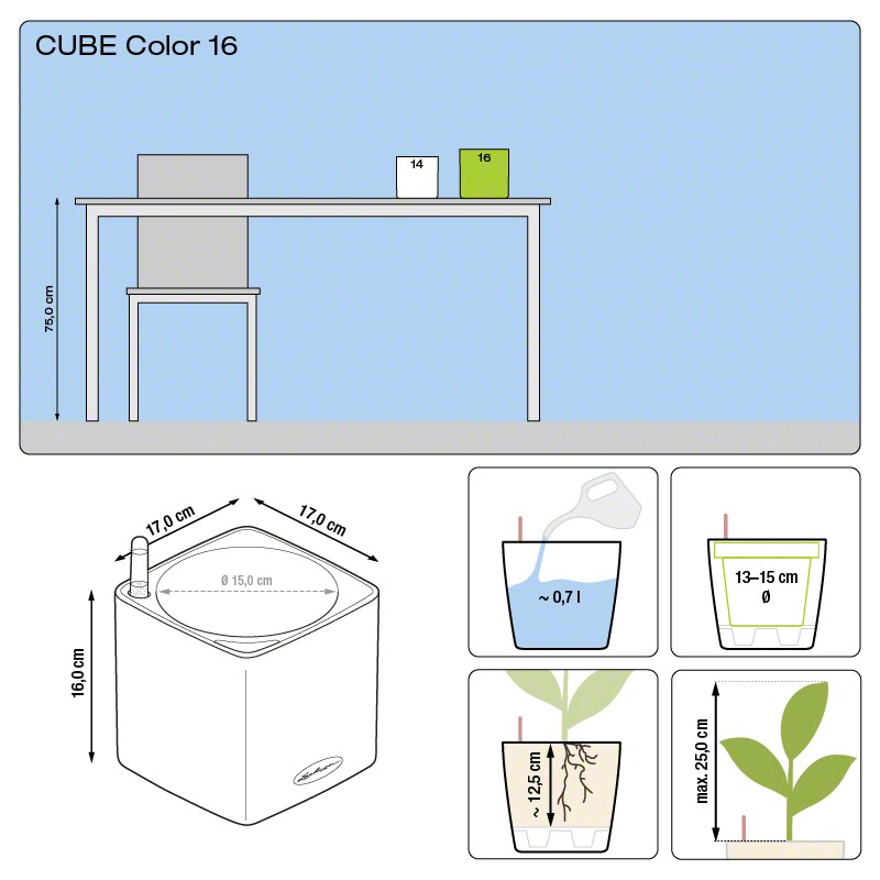 Lechuza Cube Color