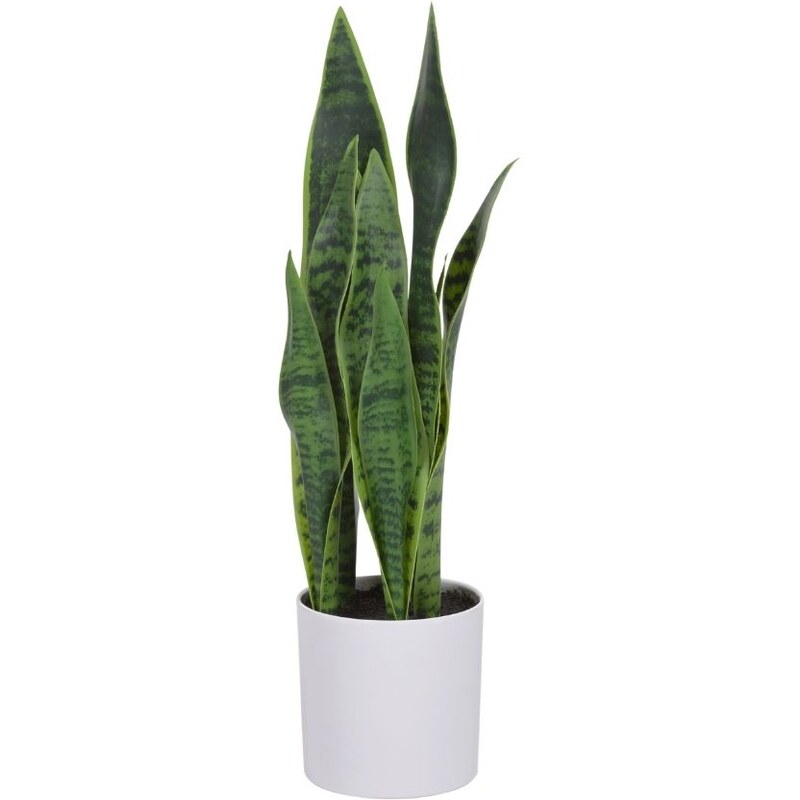 Umělá květina Kave Home Sansevieria