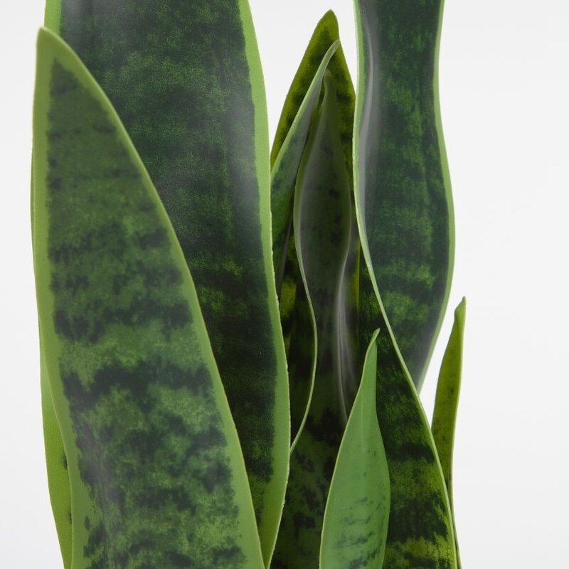 Umělá květina Kave Home Sansevieria