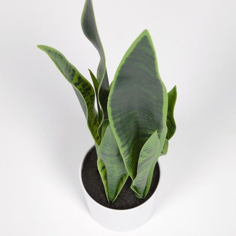 Umělá květina Kave Home Sansevieria