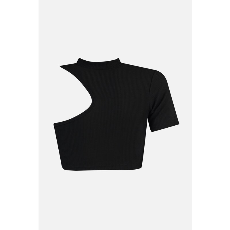 Trendyol Black Color Block Crew Neck Fitted/Situated Ribbed Flexible Knitted Blouse