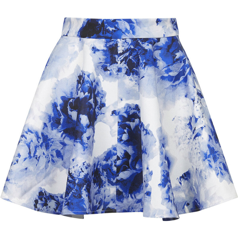 Topshop **Floral Skater Skirt by WYLDR