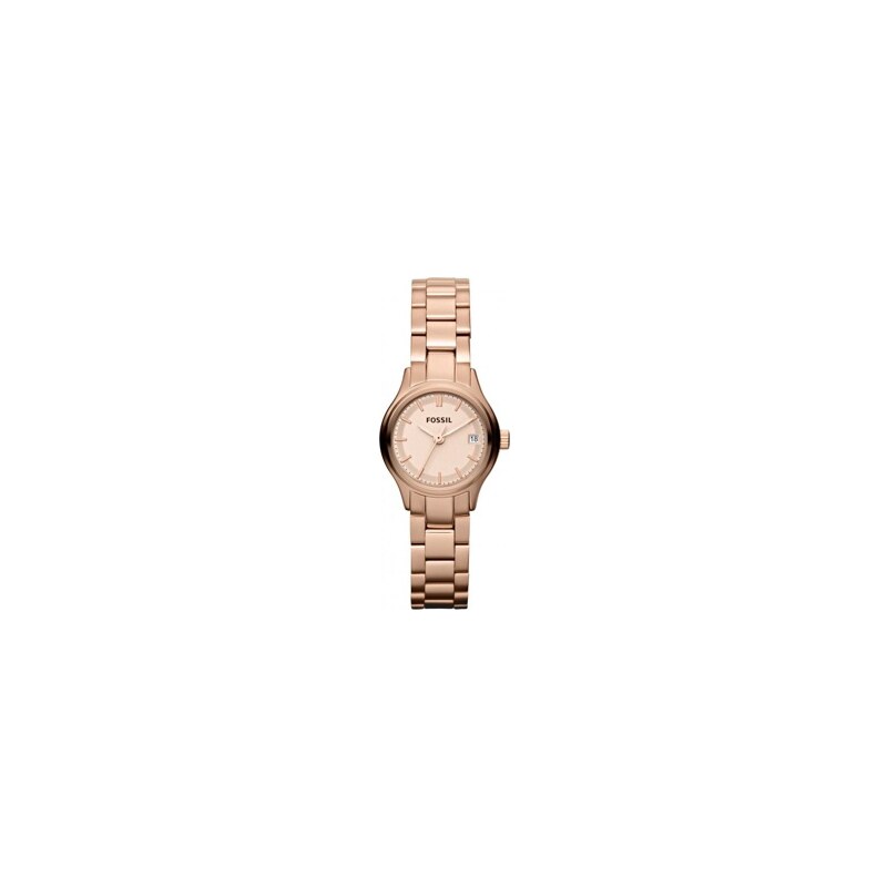 FOSSIL WATCH ARCHIVIAL ES3167