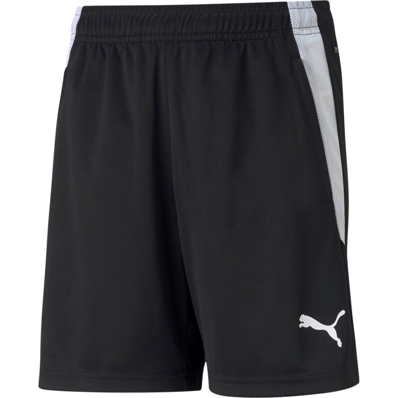 PUMA Sportovní kalhoty TeamLiga černá / bílá