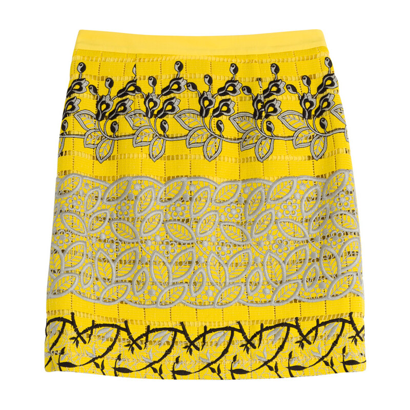 Etro Embroidered Skirt