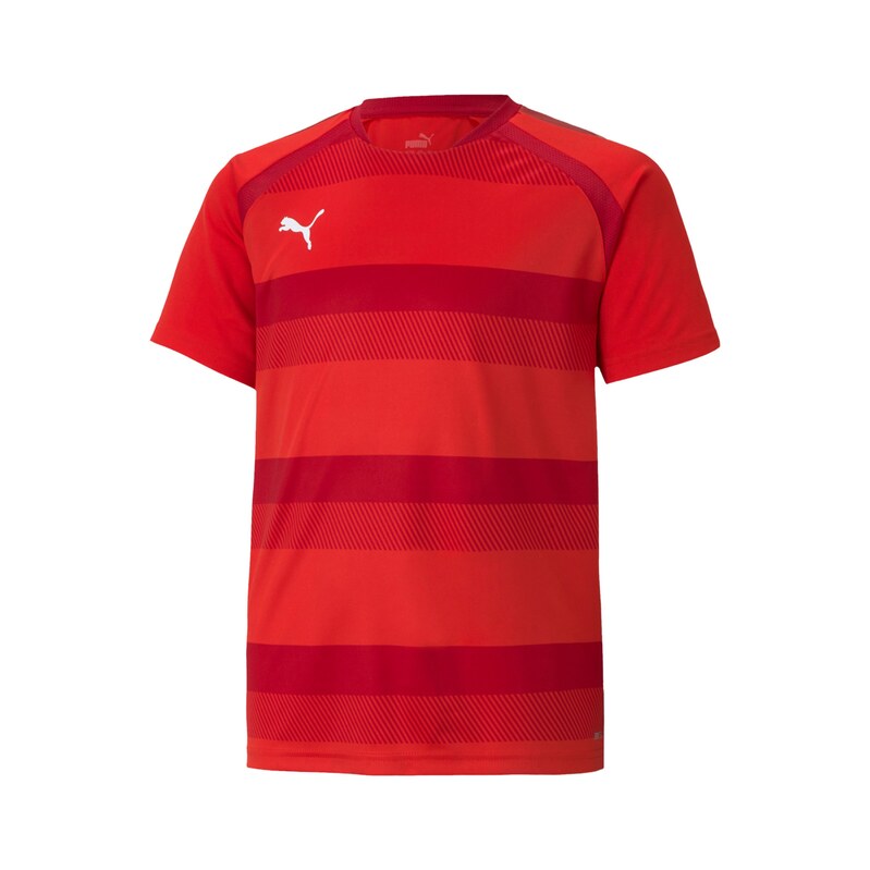 PUMA Funkční tričko TeamVision červená / tmavě červená / bílá