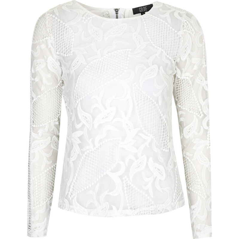 Topshop **Embroidered Lace Top by Goldie