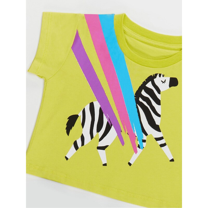 mshb&g Rainbow Zebra Girls Kids T-shirt Skirt Suit