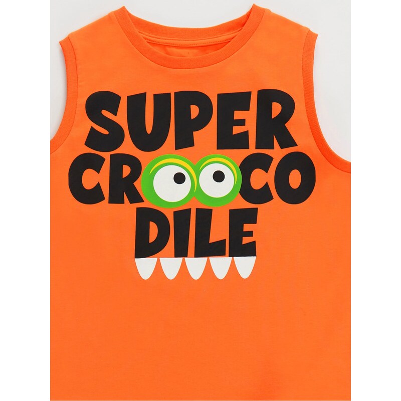 Denokids Crocodile Boy's T-shirt Shorts Set