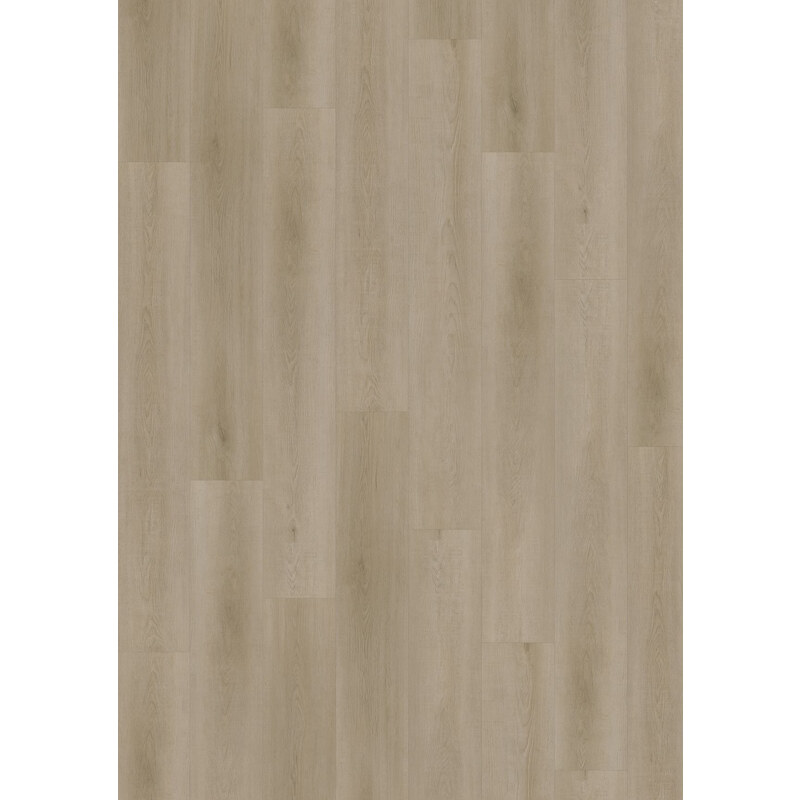 Oneflor Vinylová podlaha lepená ECO 55 052 Raw Oak Light Natural - dub - Lepená podlaha