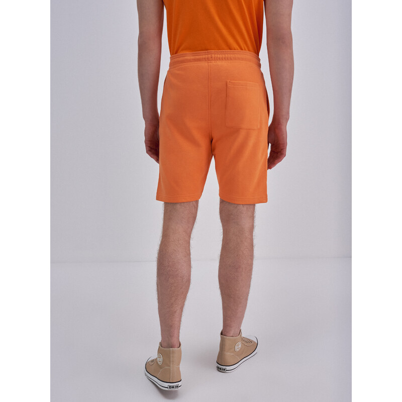 Big Star Man's Shorts 110137