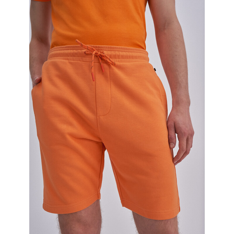 Big Star Man's Shorts 110137