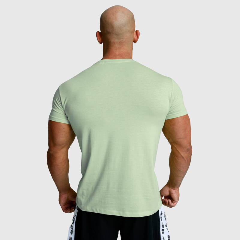 Pánské fitness tričko Iron Aesthetics Splash, zelené sage