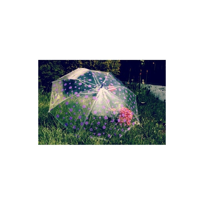 Deštník s fialovým puntíkem průhledný