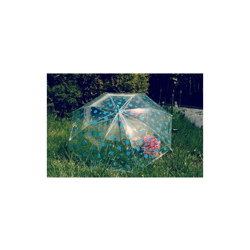 Deštník s modrým puntíkem průhledný