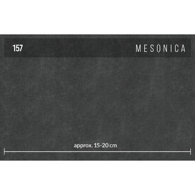Černá koženková dvoumístná pohovka MESONICA NEELO 152 cm