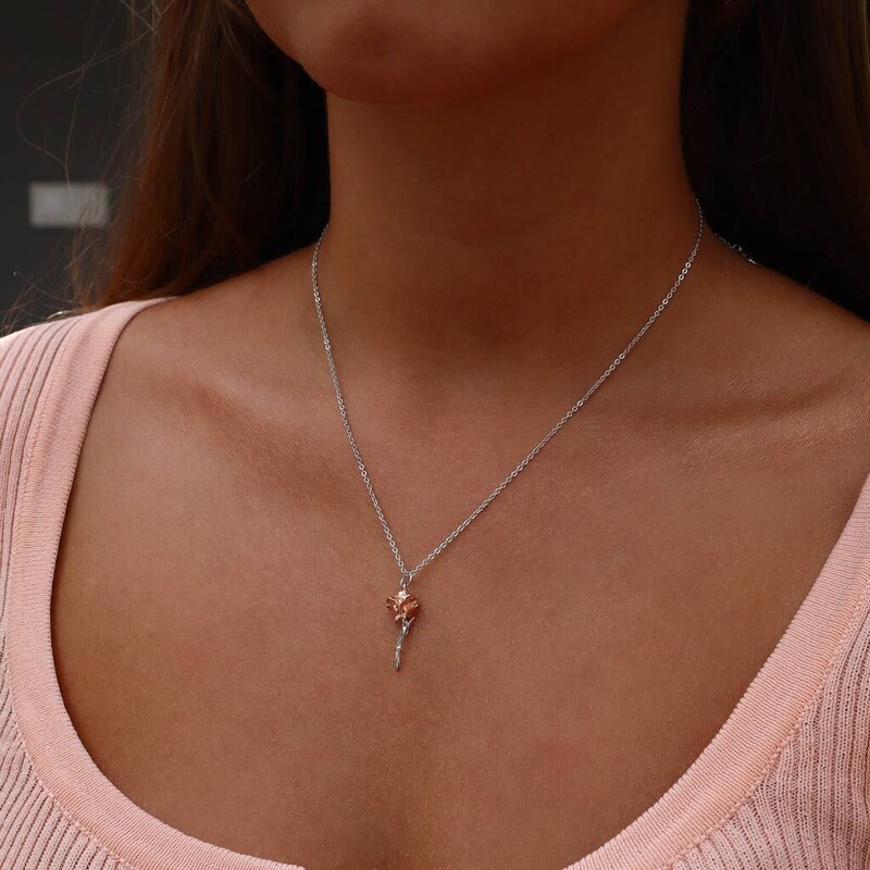Dámský stříbrný náhrdelník ROSE