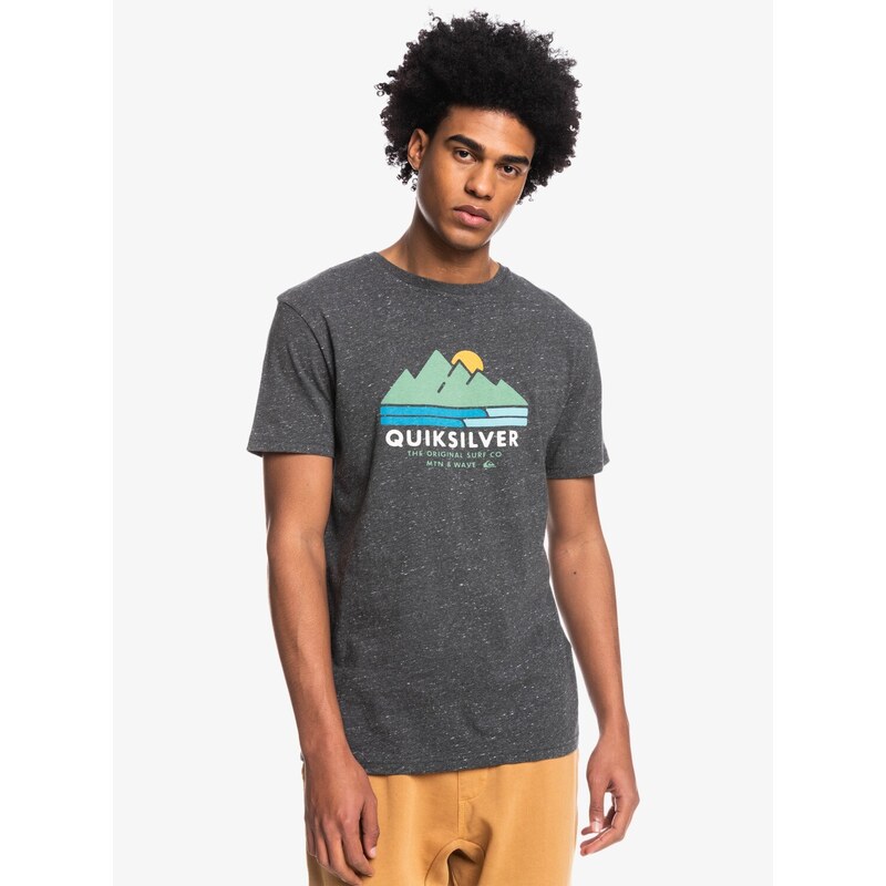 Quiksilver Scenicrecovery m tees Grey