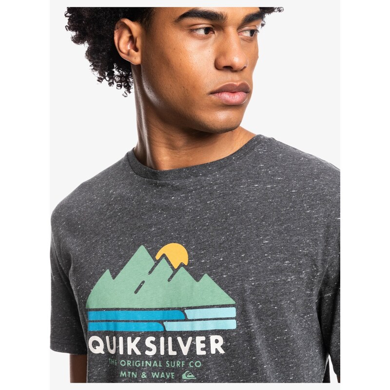 Quiksilver Scenicrecovery m tees Grey