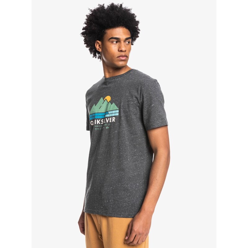 Quiksilver Scenicrecovery m tees Grey