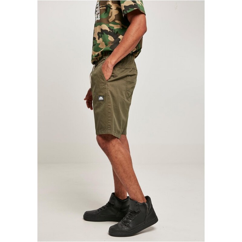 Southpole Twill Shorts - olive