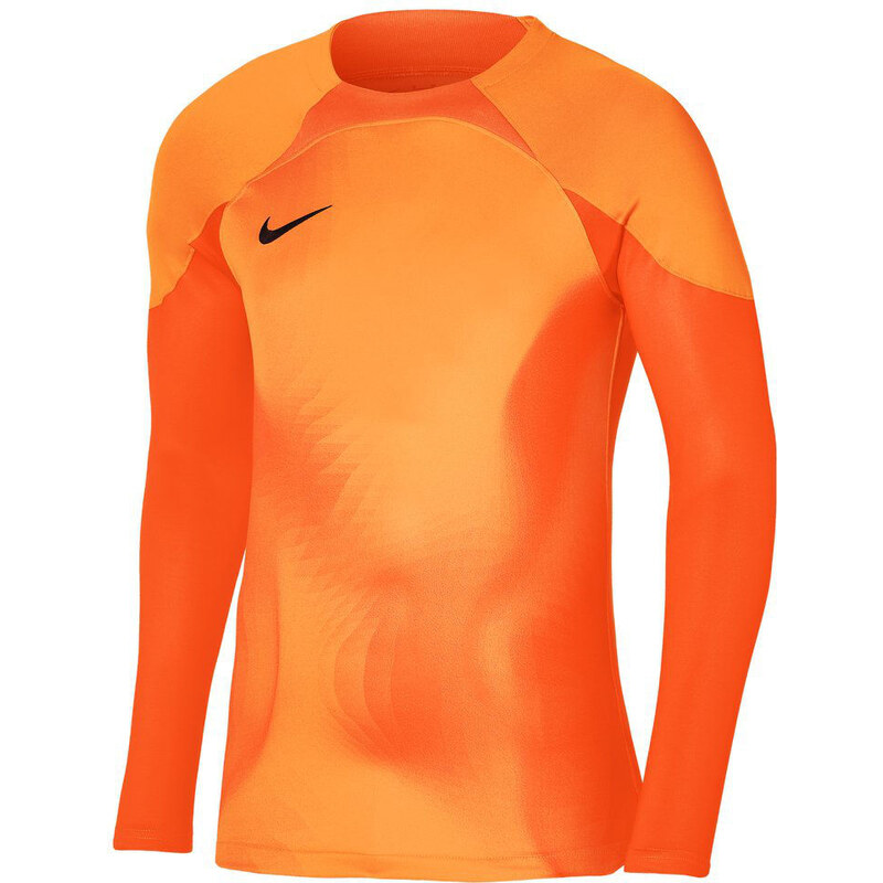 Dres s dlouhým rukávem Nike Dri-FIT ADV Gardien 4 Goalkeeper dh8346-819