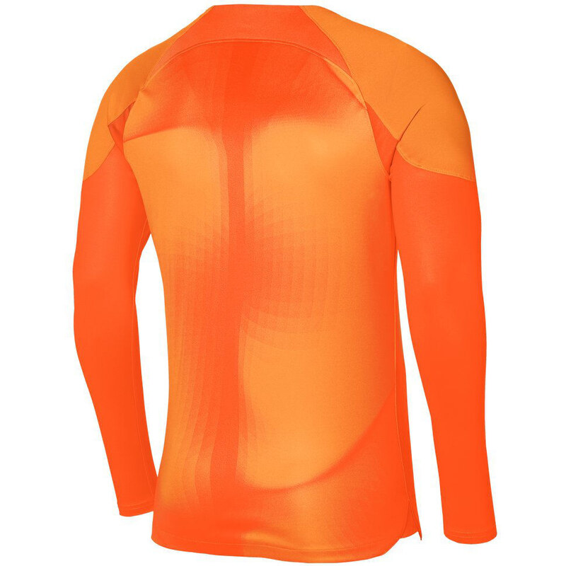 Dres s dlouhým rukávem Nike Dri-FIT ADV Gardien 4 Goalkeeper dh8346-819