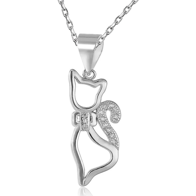 Dámský stříbrný náhrdelník ANIQUE