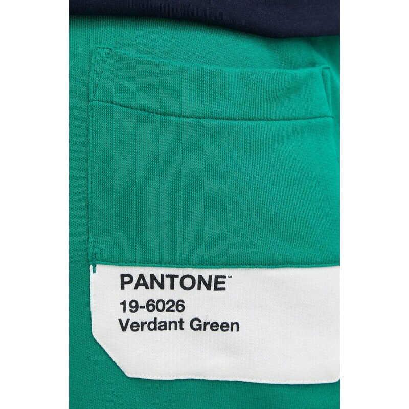 Bavlněné tepláky United Colors of Benetton zelená barva, s potiskem